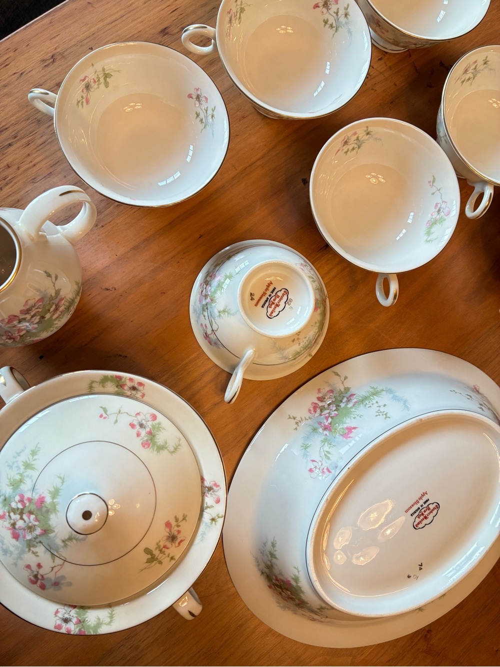 Apple Bottoms Cream Dinnerware Set with Pink Floral Accents